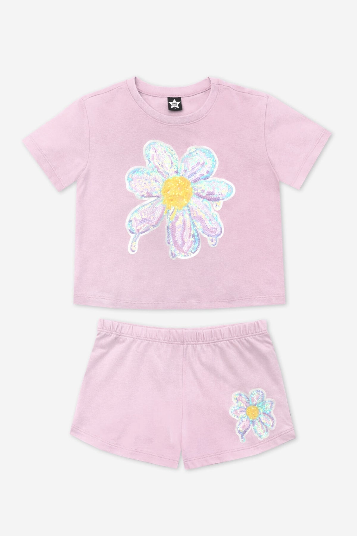 Founder Faves - 3 Pack Daisy Love - Daisy Love