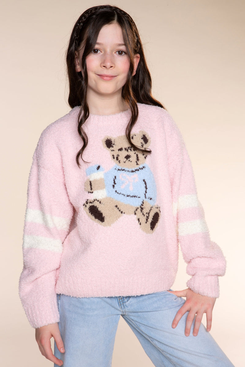 Cloud Plush Crew Neck Sweater - Dusty Pink Teddy - NEW!