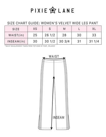 Women's Velvet Wide Leg Pant - Black